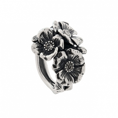 Кольцо Амигона