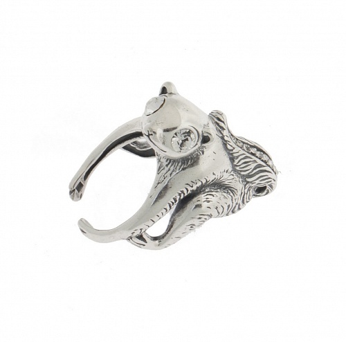 Кольцо Чини