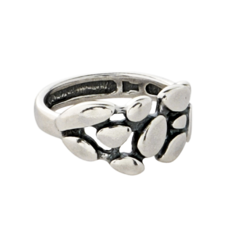 Кольцо Биосфера